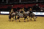 Quadrille - 00734